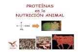 NUTRICION ANIMAL  PROTEÍNAS