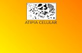 Atipia Celular Exposicion