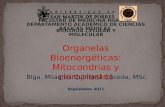 CLASE 6- Organelas Bioenergeticas, Mitocondrias y Cloroplastos