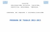 Programa de Trabajo de Ceye 2012-2015 ISSSTE