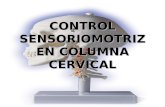 Control Sensoriomotriz en Columna Cervical La Serena