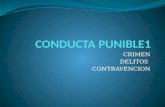 Conducta Punible