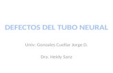 JDGC Defecto Tubo Neural