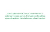 Aorta Abdominal, Venas Cava Inferior y Sistema Venoso portal, inervación simpática y Parasimpática del Abdomen, plexo Lumar
