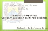 Bordes Divergentes,Origen y Evolucion Del Fondo Oceanico.