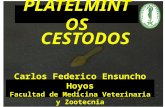 Cestodos Clase 2012