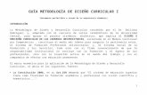 GUIA METODOLÓGICA PARA REDISEÑO DE CARRERA - copia