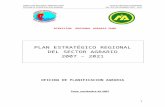 Plan Estategico 2007-2021 Actualizado