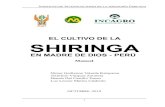 Cultivo de Shiringa