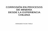 c Corrosion en Procesos de Mineria Experiencia Chilena Fernando Puchi