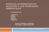 POSIBLES ALTERNATIVAS DE SOLUCIÓN A LOS PROBLEMAS AMBIENTALES