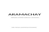 ARAMACHAY - SINCOS