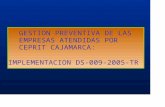 3 Gestión de la Prevención en las empresas atendidas por CEPRIT Cajamarca