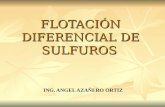 EXPOSICIÓN FLOTACIÓN DIFERENCIAL DE SULFUROS