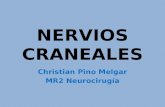 Nervios IX y X