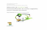 Biodiesel Transesterificacion