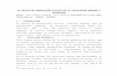 EL DELITO DE APROPIACIÓN ILÍCITA EN LA LEGISLAGION PERUANA Y EXTRANJERA_2