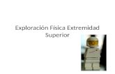 Ortopedia Exploracion Fisica de Extremidad Superior