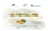 Manual preventivo del fusarium en cultivo de maracuya