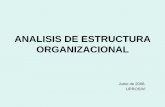 Analisis estructura Organizacional