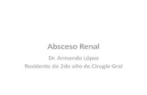 Absceso Renal