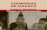 Chontales Oaxaca(1)