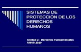 PP. SISTEMA-DE-PROTECCIÓN-DE-LOS-DERECHOS-HUMANOS.ppt