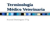 PROFA. K. DOMINGUEZ AVET 120  Terminología Médico Veterinaria