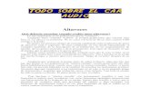 manual audio car   fibra de vidrio tuning.pdf