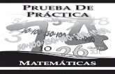Prueba de Práctica_Matemáticas G11_1-24-11