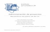 Mecatrónica de Juárez SA de CV / Proyecto Final de la materia de Administración de Proyectos 2012-08