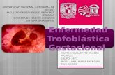 Enfermedad Trofoblastica Gestacional TERMINADO