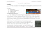 Informe Cuerdas Vibrantes 2011-II