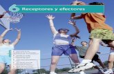 EFECTORES Y RECEPTORES.pdf