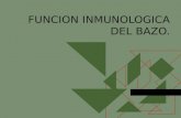 Funcion Inmunologica Del Bazo