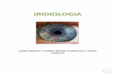 62564322 La Iridologia Como Diagnostico