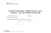 Informe Mensual Del Supervisor (Modelo i)