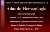 38903358 Atlas de Hematologia