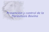 DECTOMAX-Parasitosis Bovina