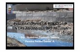 Evaluacion Toxicidad Rio Pallina 04-06-12
