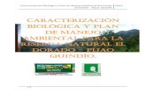 Ejemplo de CARACTERIZACIÓN BIOLÓGICA Y PLAN DE MANEJO AMBIENTAL
