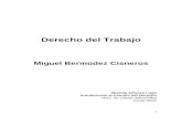 48974065 Derecho Del Trabajo Miguel Bermudez Cisneros Brend