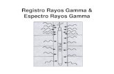 Apuntes Registro de Pozo Gamma Ray