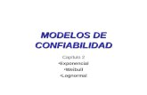 Cap2 Modelos Conf.