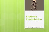 Sistema Esqueletico - HELDY
