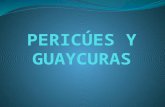 PERICÚES Y GUAYCURAS