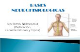 Bases Neurofisiologicas