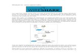 Wireshark Filtros y Visualizacion