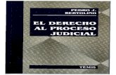 El Derecho Al Proceso Judicial - Pedro j. Bertolino