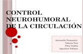 CONTROL NEUROHUMORAL DE LA CIRCULACIÓN